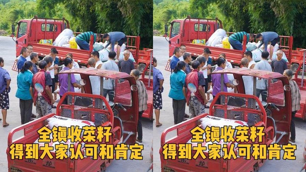 为了将大家囤积的菜籽都处理完，再苦再累都要去做，创收致富一起努力