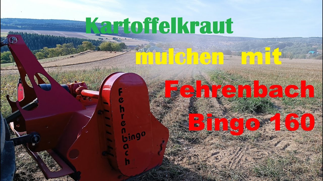 Kartoffelkraut mulchen 2022 Fehrenbach Bingo 160