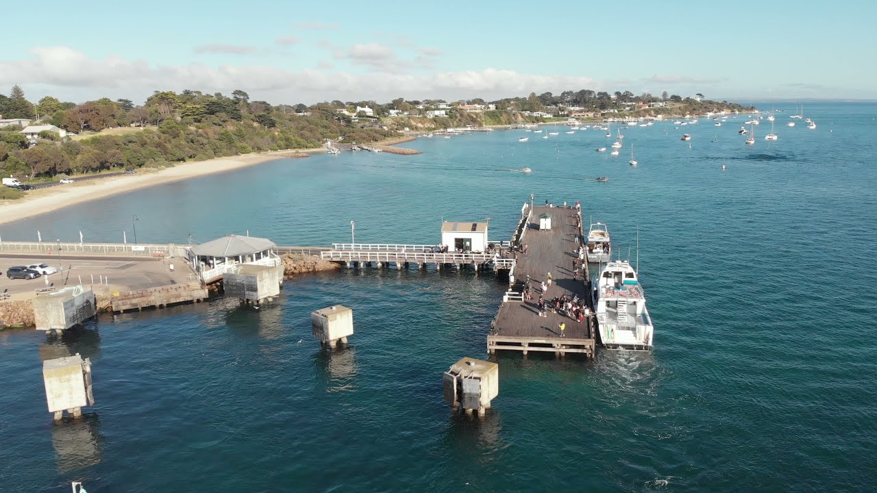 Diving Sorrento Pier  -  14 Feb 2022