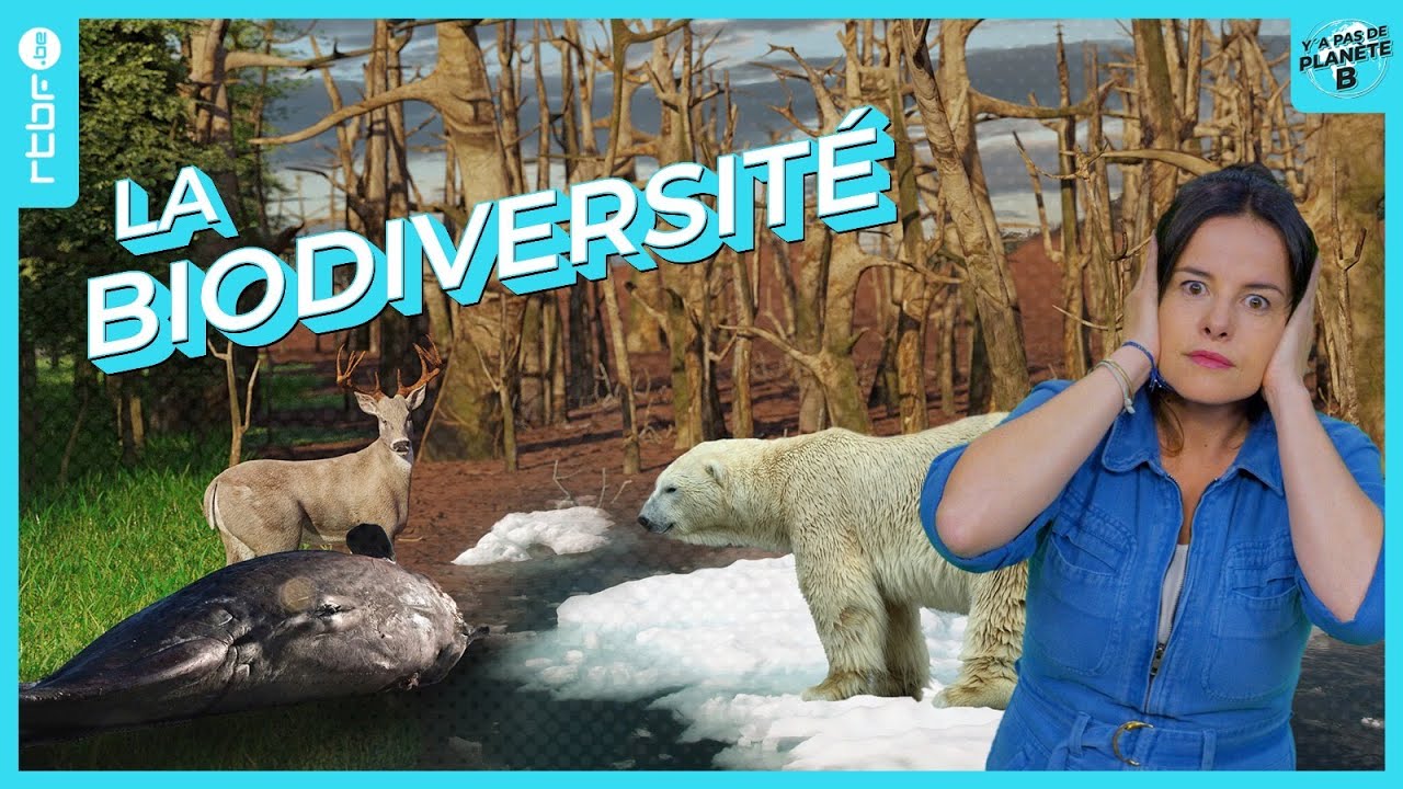 Biodiversité : et si le climat n’était pas notre pire problème ? - Y a Pas de Planète B