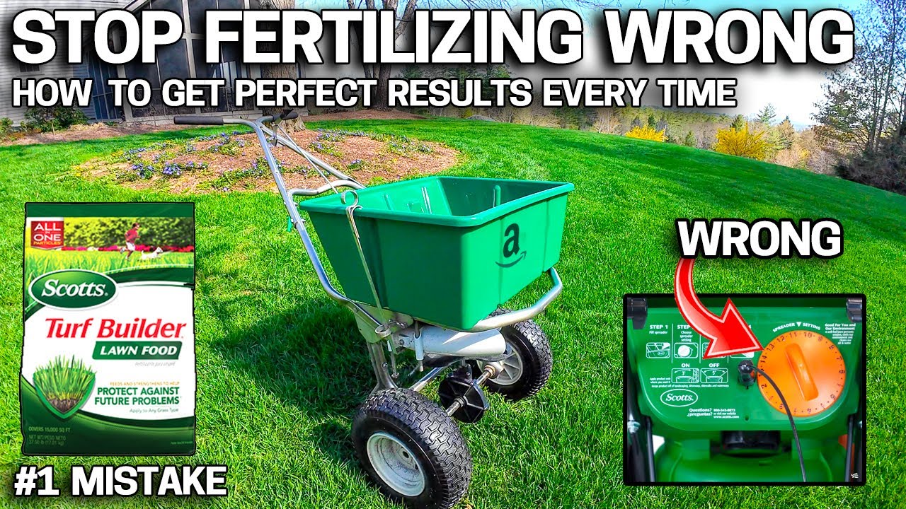 From Patchy to Perfect - How to Fertilize a Lawn CORRECTLY