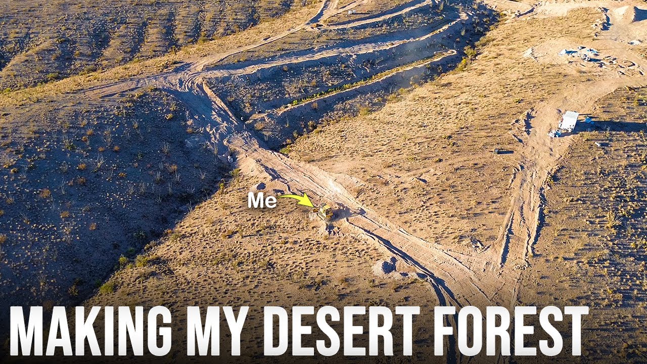 Fixing My Desert Dams