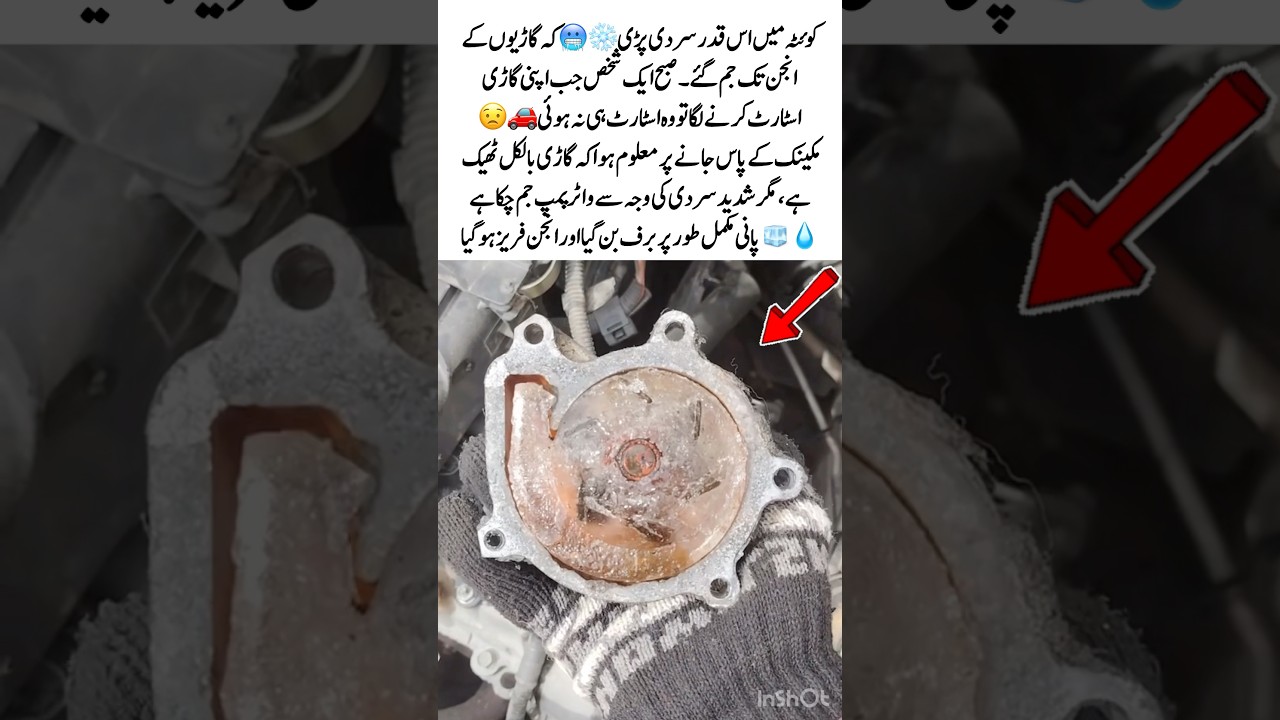 Extreme Cold Freezes Car Engine❄️#ColdWave #WinterCrisis #EngineFreeze #WeatherAlert #CarCare #10m