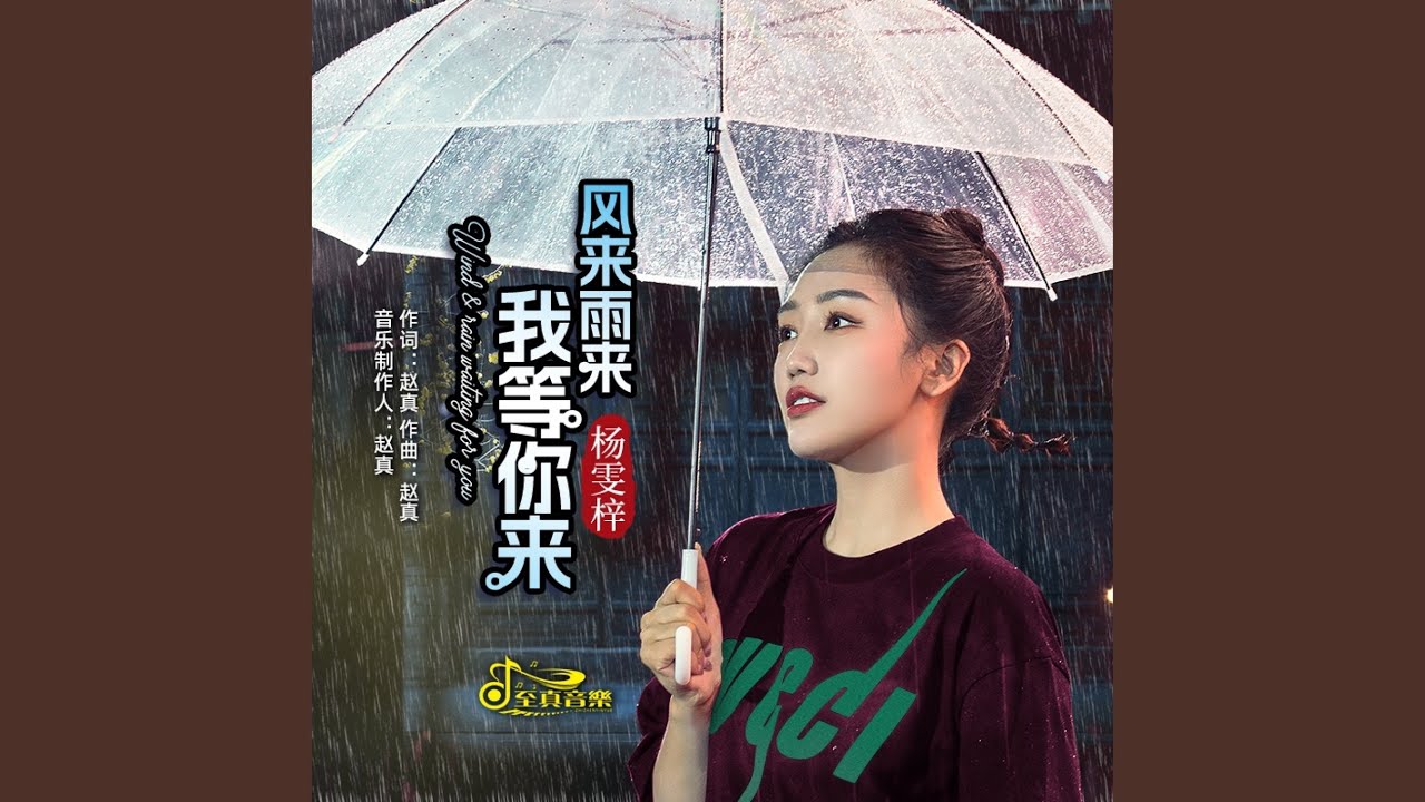 风来雨来我等你来