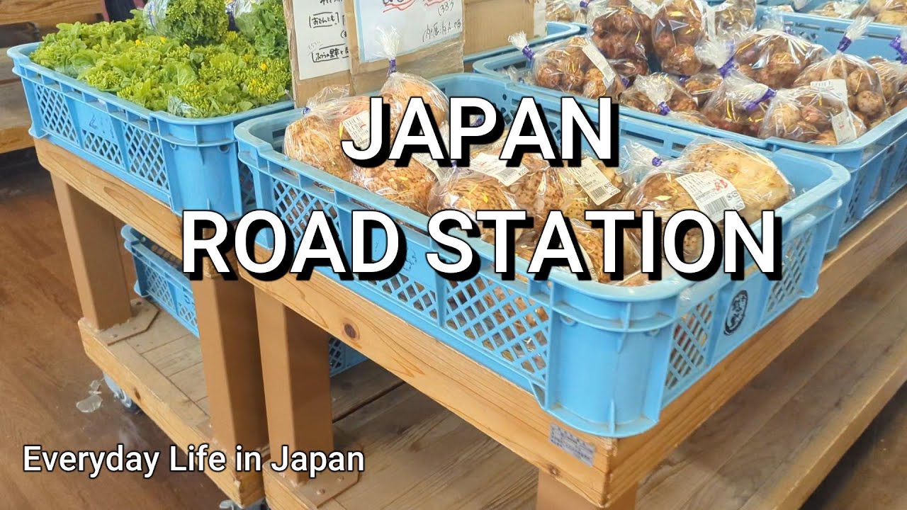 Visiting a Japanese Roadside Station