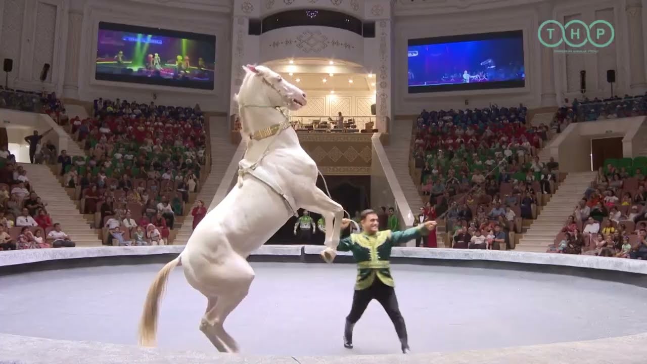 Turkmenistan equestrian circus performs in Arkadag | اجرای سرکس در شهر آرکاداغ ترکمنستان