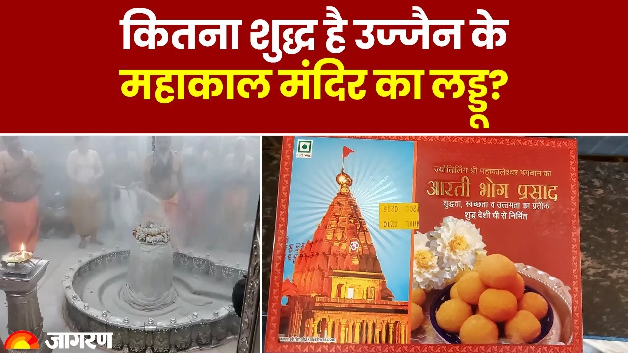 कितना शुद्ध है Ujjain के Baba Mahakal मंदिर का लड्डू? Laddu Controversy