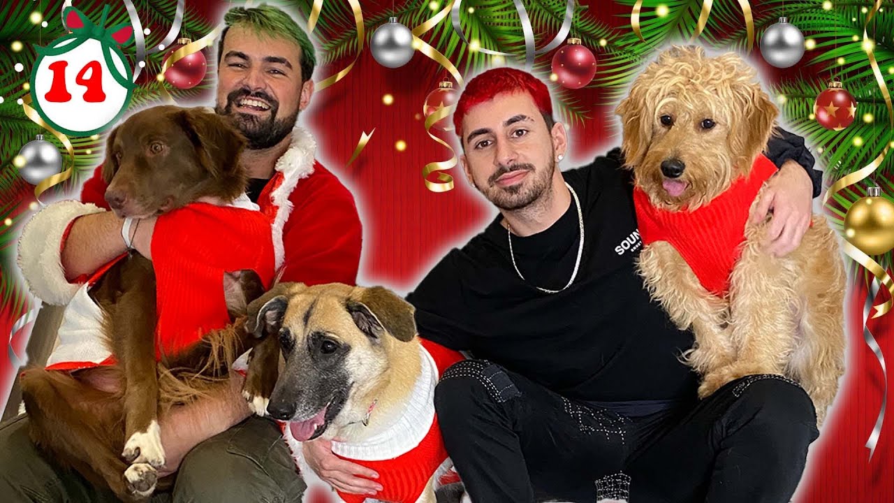 WE DRESSED UP THE C4 HOUSE PETS!