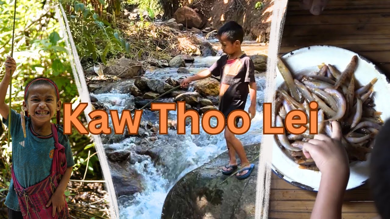  Catch And Cook in Kawthoolei Creeks.