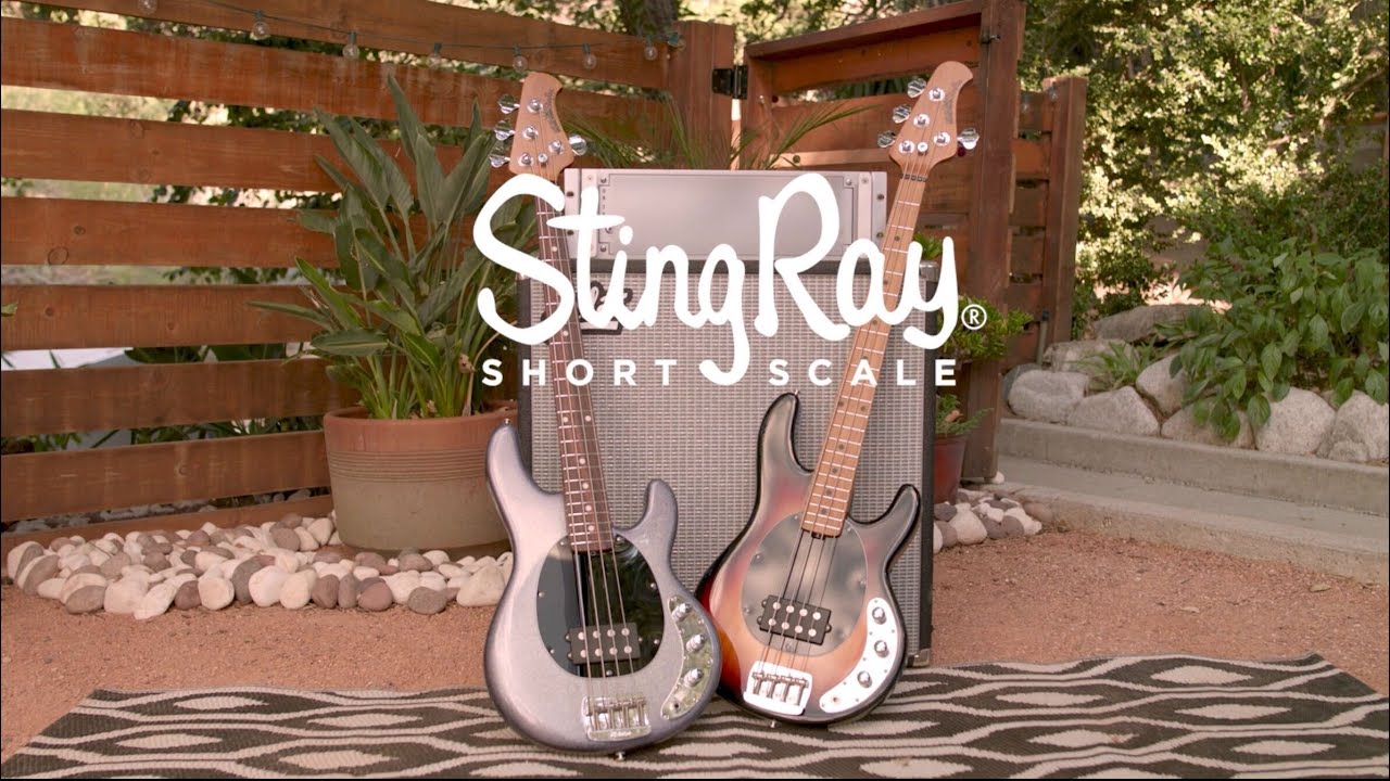 Ernie Ball Music Man: 2020 Short Scale StingRay Bass