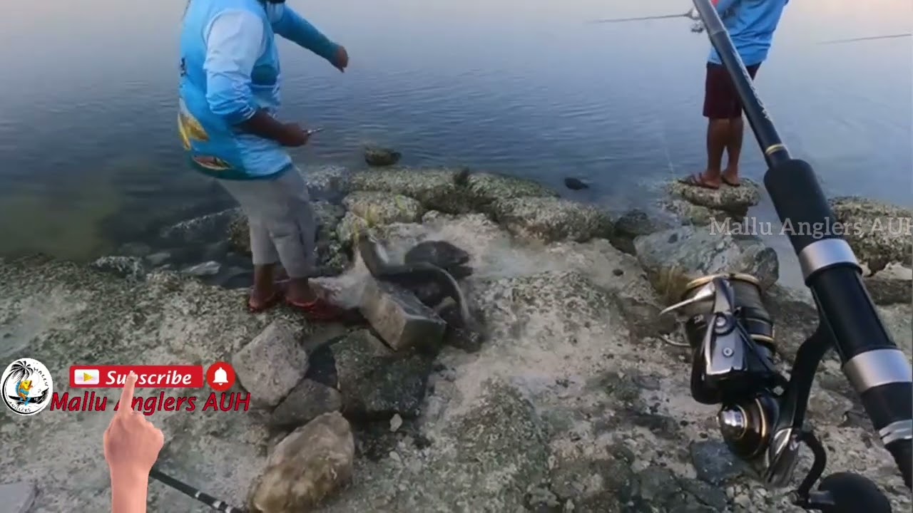 Mallu Anglers Shore Fishing Competition 2022.