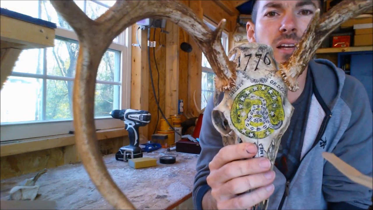 Mounting Antlers to Deer Skull (Replica)