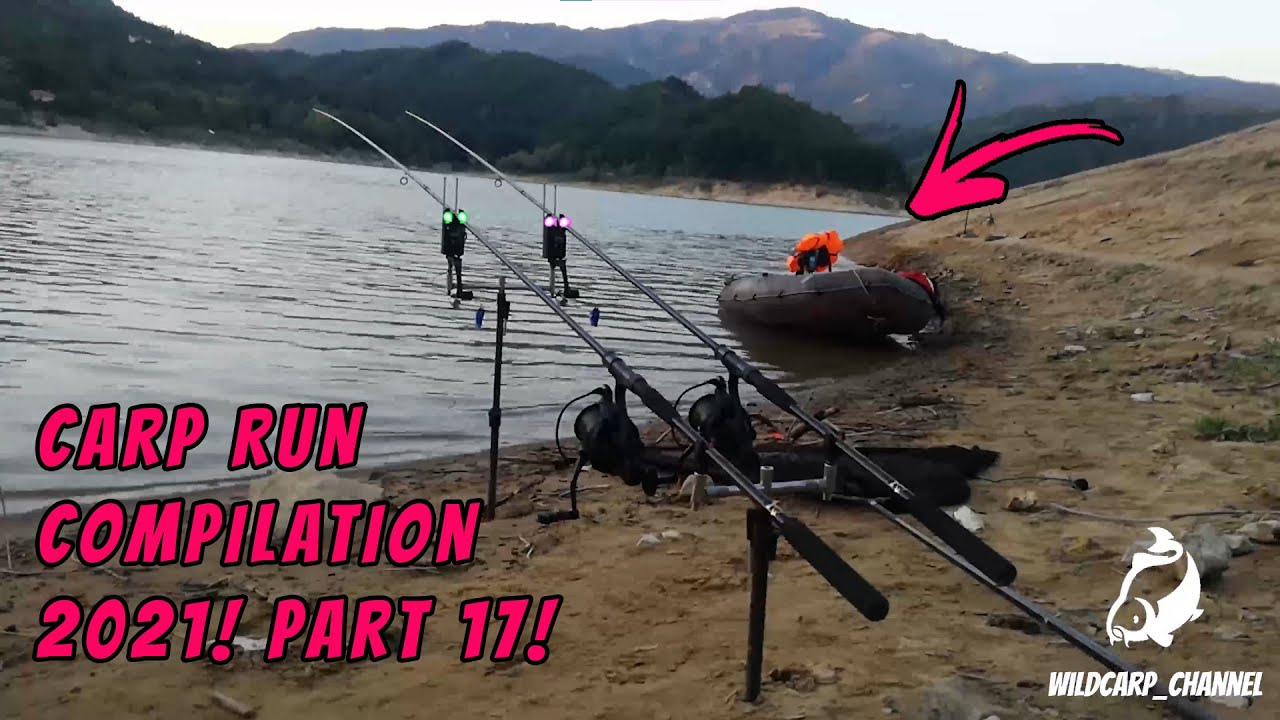 CARP RUN COMPILATION 2021! PART 17!