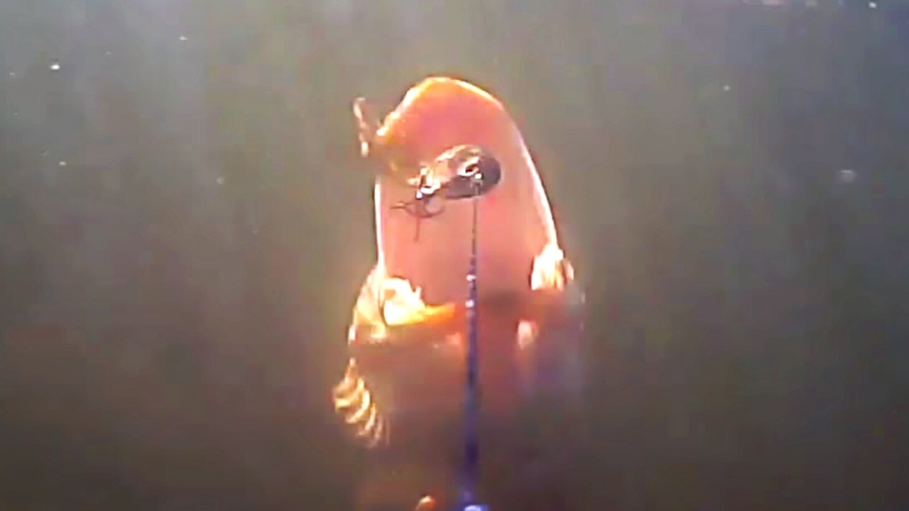 Big Pikes Attack Rubber Lures From Eastfield (Many Strikes)