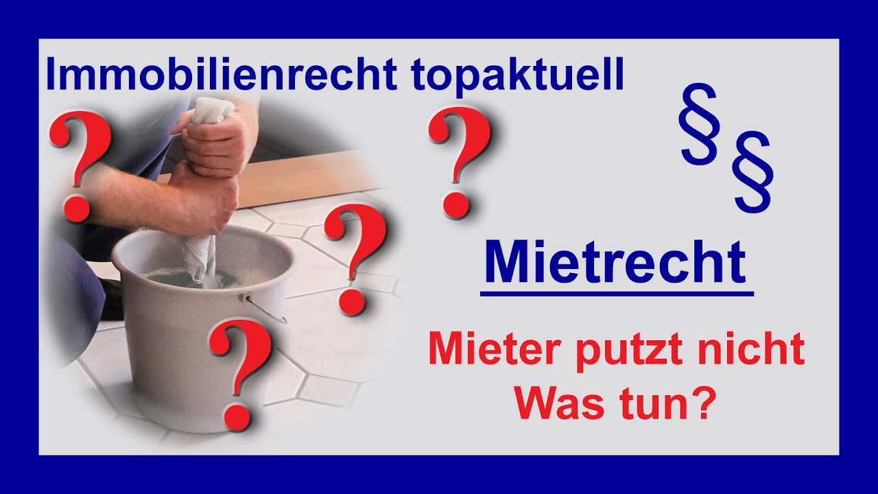 Der Mieter putzt nicht. Was ist zu tun? | Tutorial