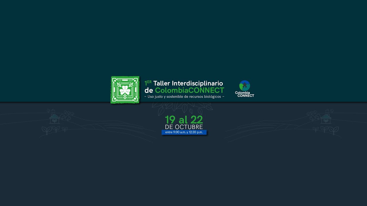 Paz Ambiental