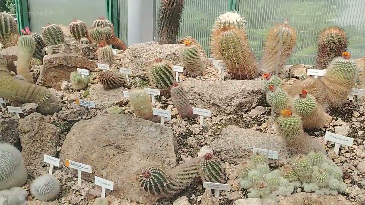 Botanica zahrada Liberec #nature #plants #czech