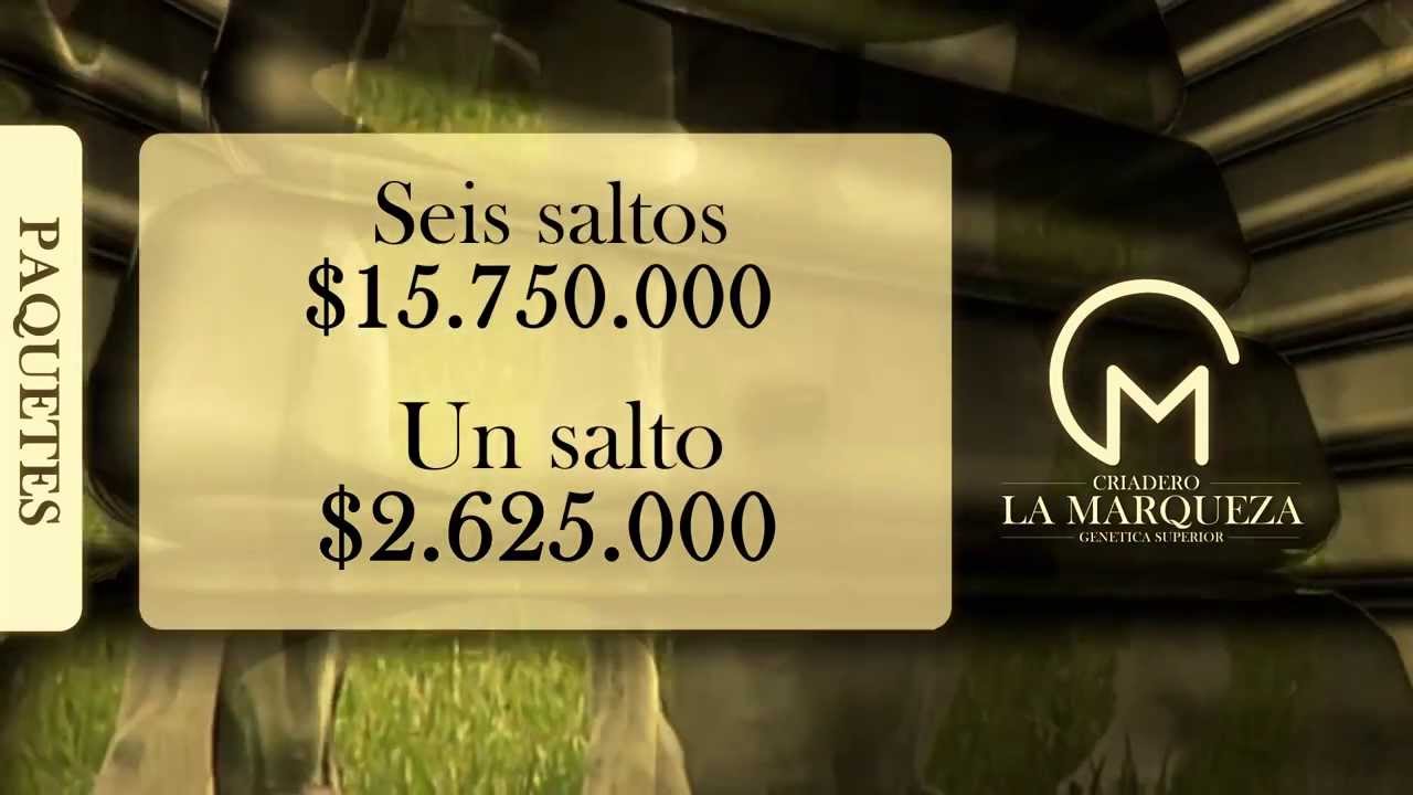 CLIENTE FRECUENTE RECOMPRA COLOMBIA espa&ntilde;ol