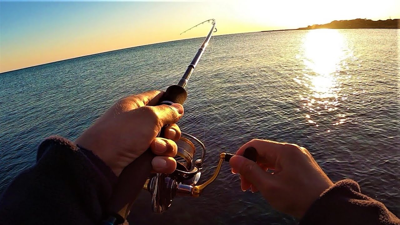 【エギング】春の親イカを狙いに行ったら奇跡の結末【ジギング】