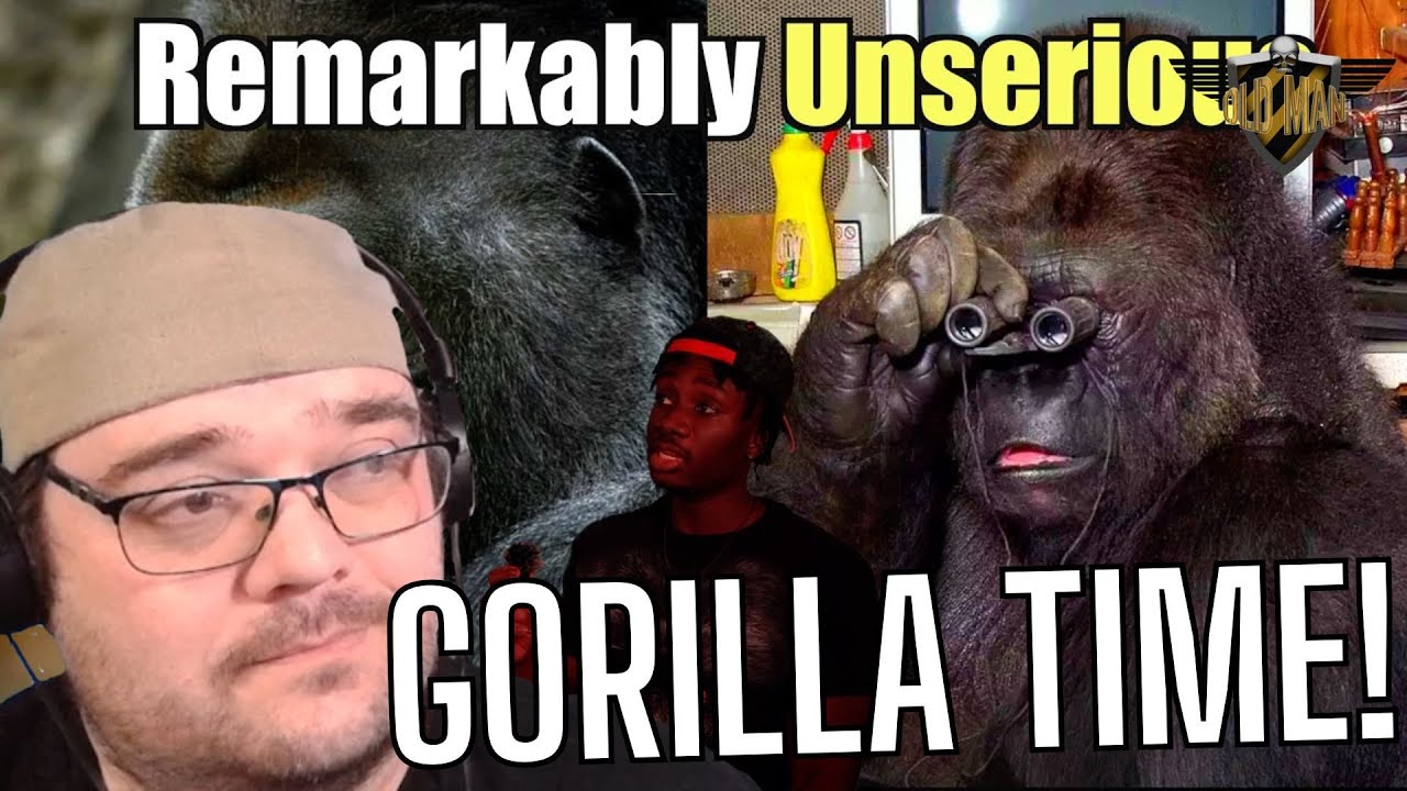 The Ridiculously Random Nature of the Gorilla from Casual Geographic - Reaction