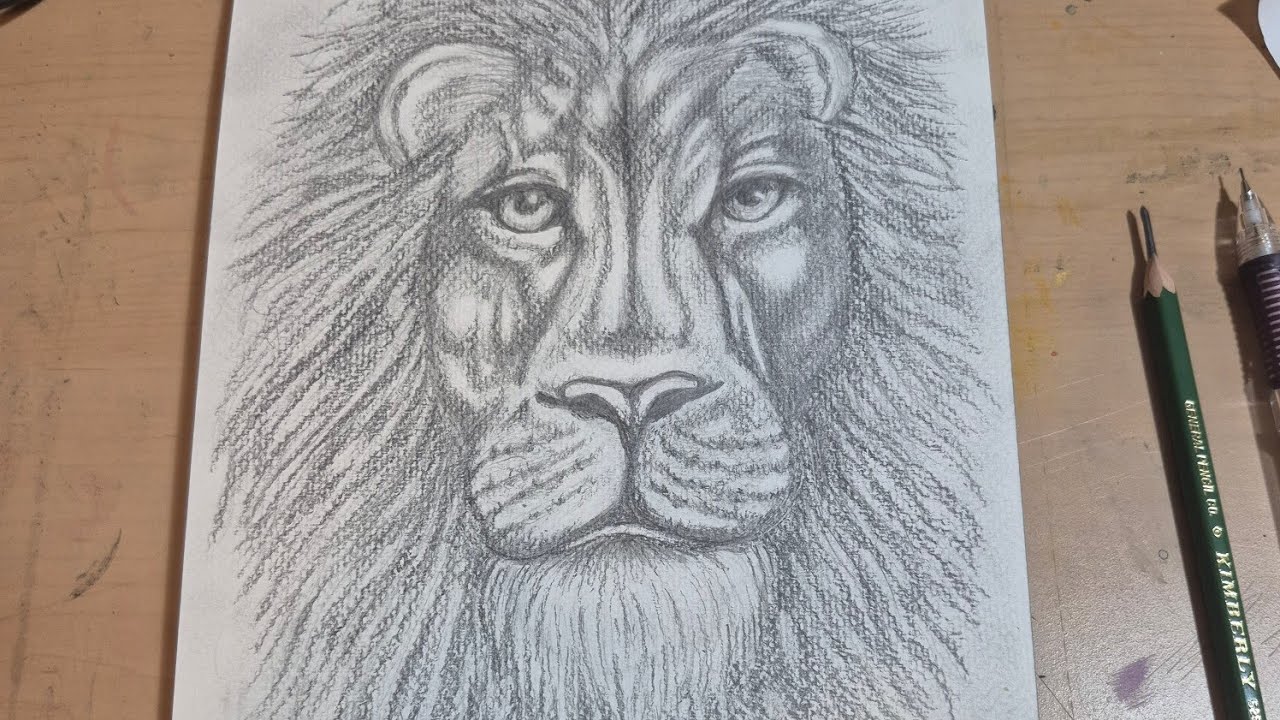 draw with me livestream #14 | 2/8/28 | 100 subscribe lion art