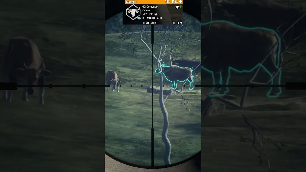 PONTA MACIA OU PONTA DE POLIMERO? ENTENDA A DIFEREN&Ccedil;A - THE HUNTER CALL OF THE WILD