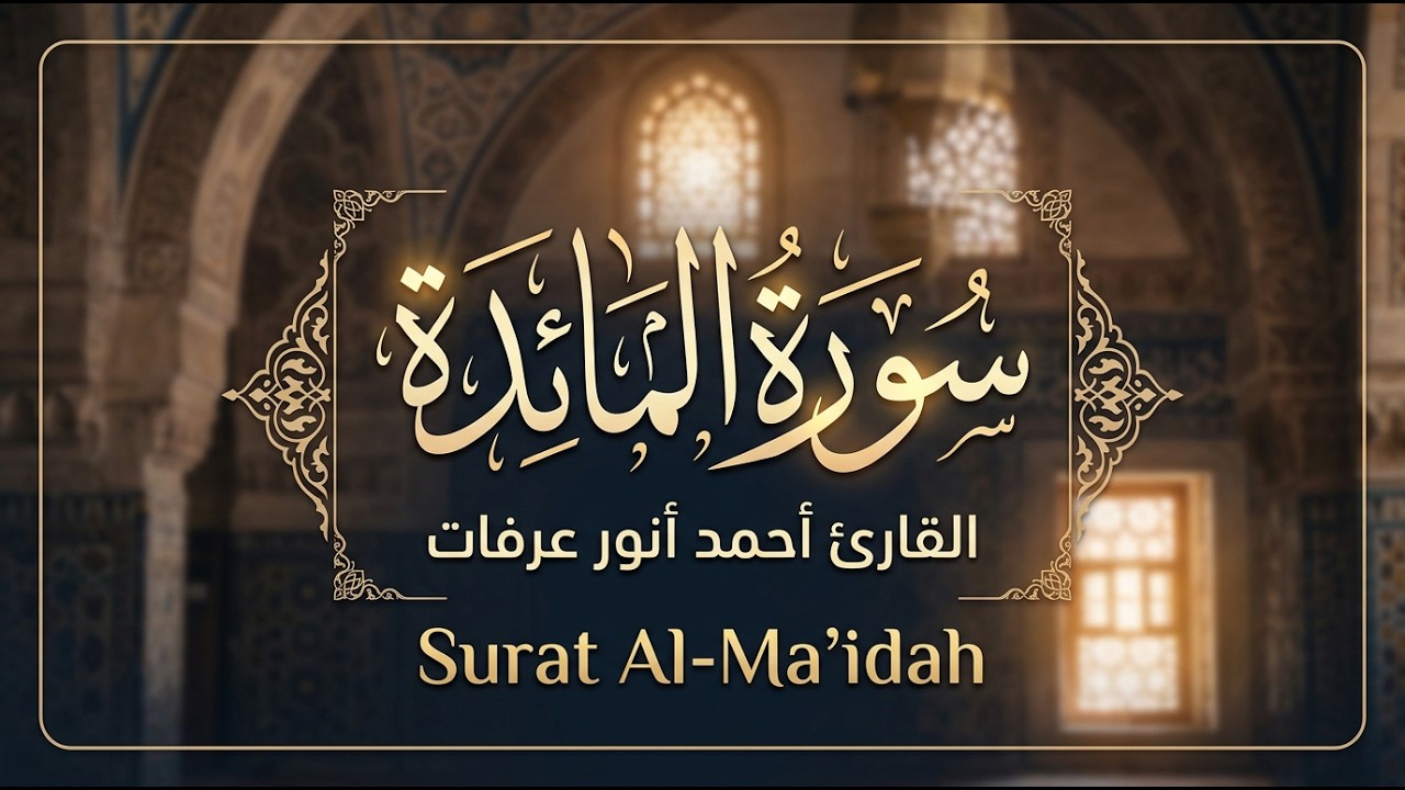 سورة المائدة | القارئ احمد انور عرفات | Surat Al-Ma'idah