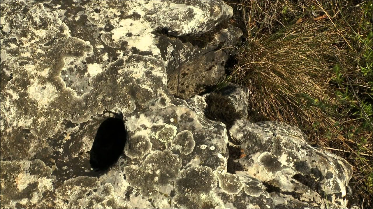 Slovenský kras