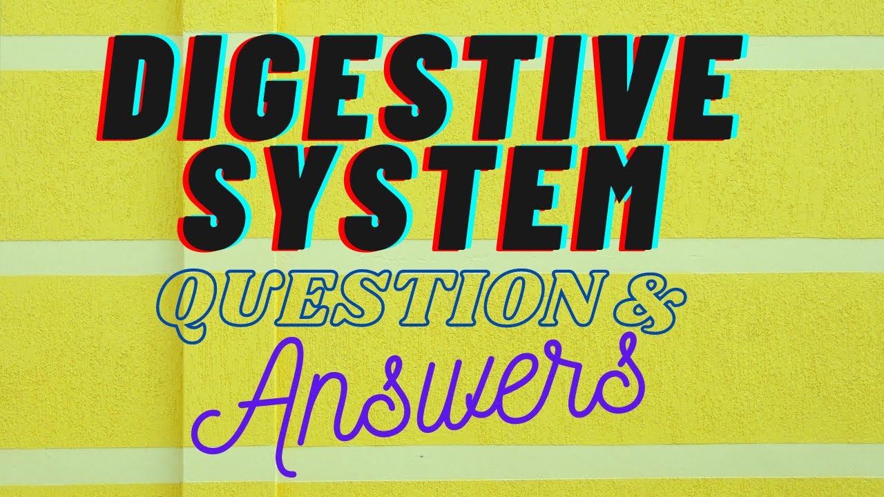 Digestive System NCLEX Questions and Answers For ESIC and Kerala PSC DHS Exam