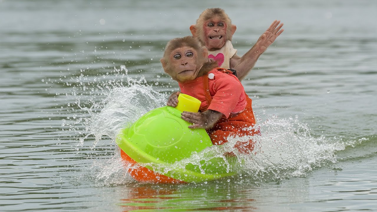 Moon & Bon Took the Yacht… and Everything Went Wrong!