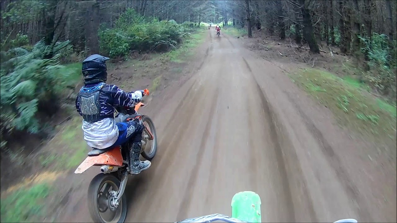Maramarua Trail Ride October 2018