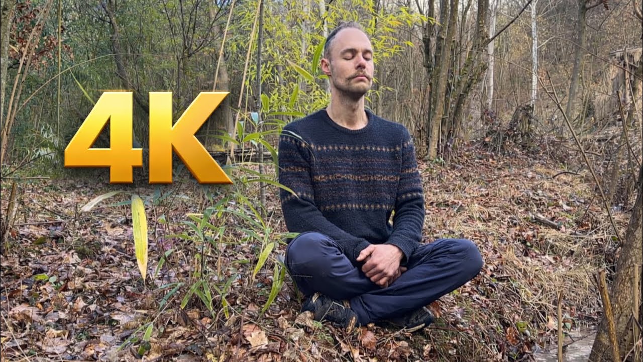 4 K 1 hour meditation near stream and bamboo