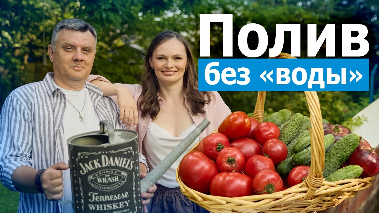 НЕ ПОЛИВАЙТЕ, пока не узнаете это: простая схема и нормы полива на даче