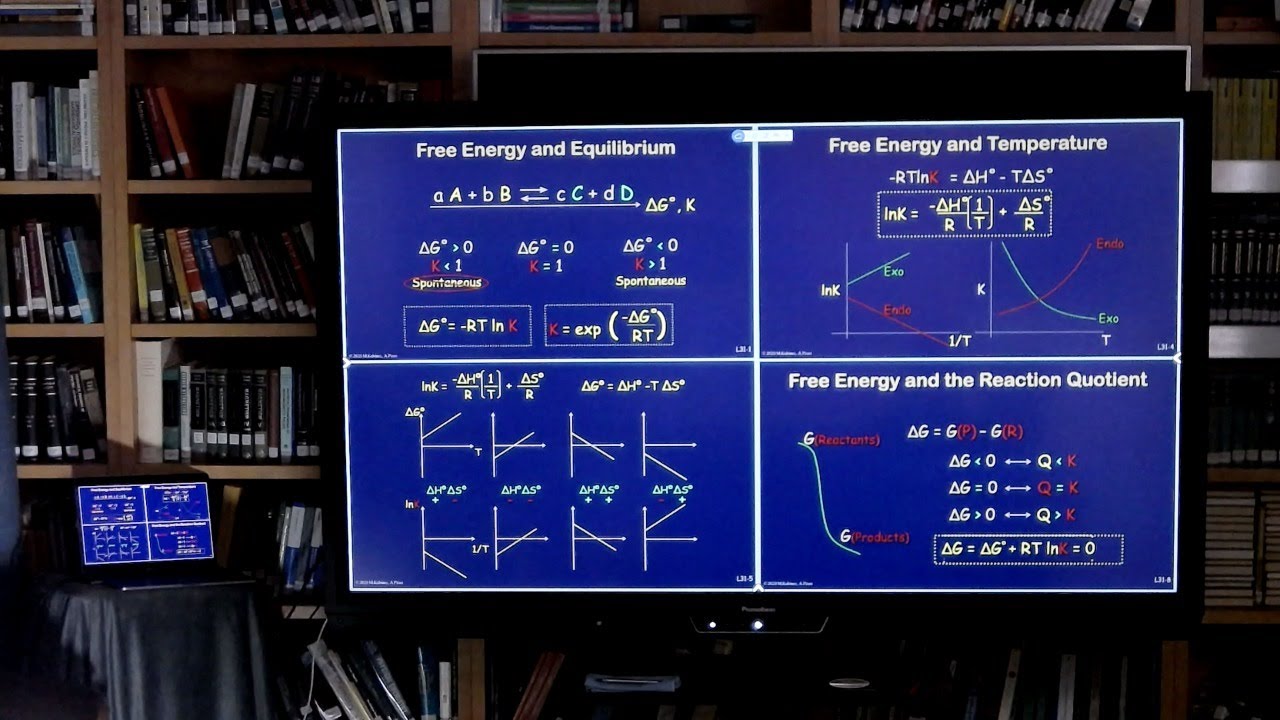 Lecture 10: Free Energy and Equilibrium