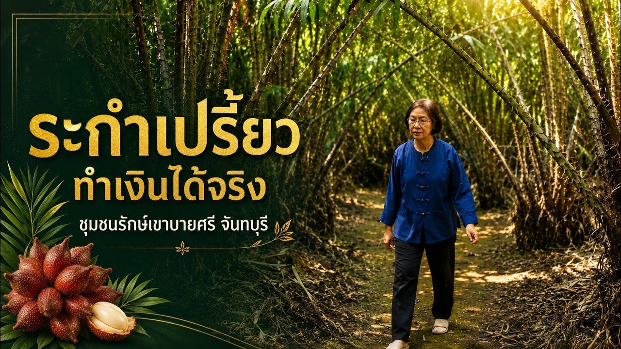 เมืองไทยเมืองเกษตร ตอน สวนระกำเปรี้ยว ชุมชนรักษ์เขาบายศรี