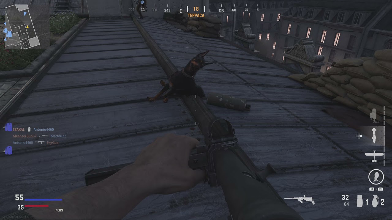 Call of Duty: Vanguard; bugs