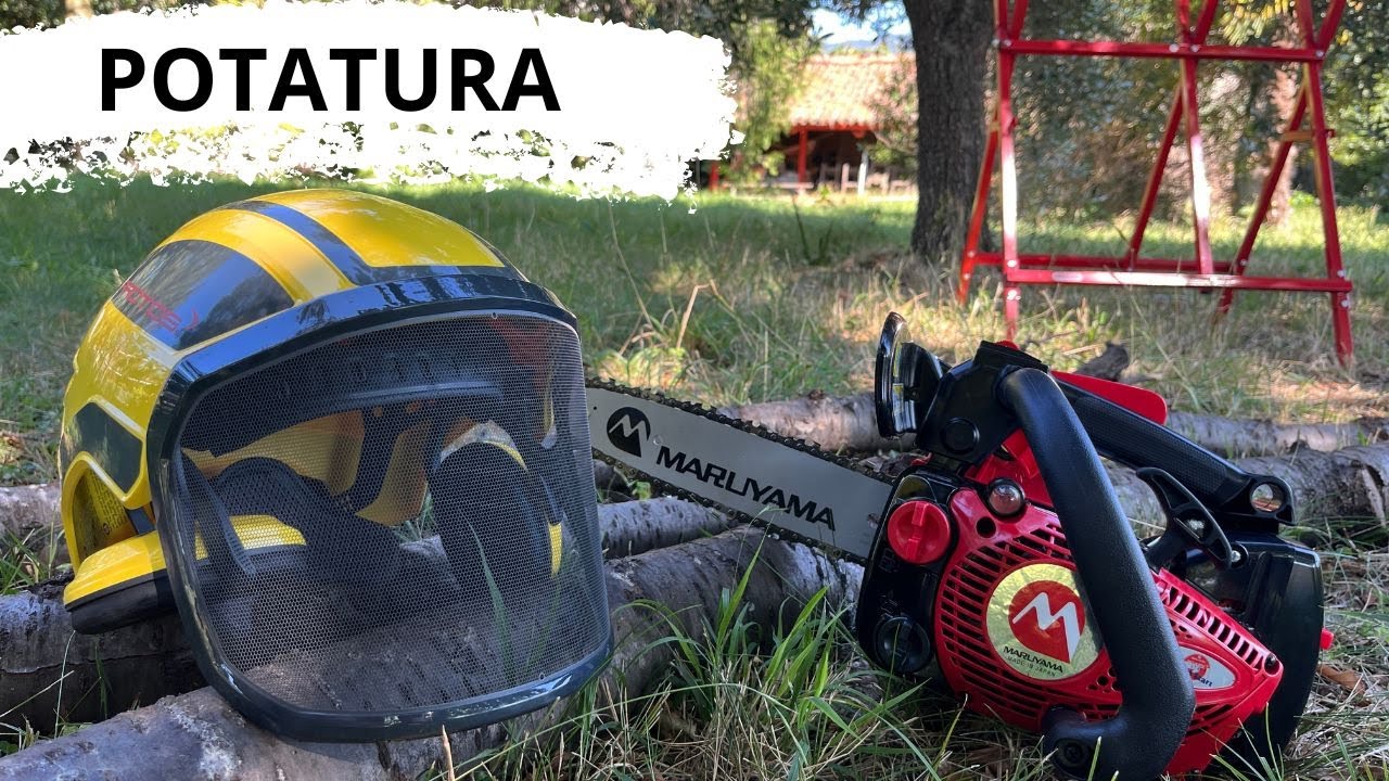 La MIGLIOR motosega da potatura - recensione MARUYAMA MCV3101TS