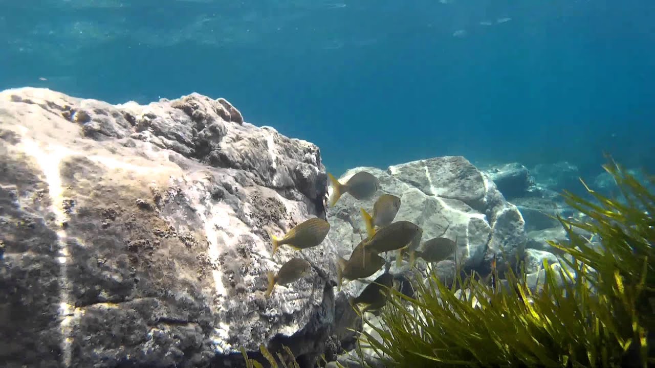 Cabo de Gata Snorkel Series nº 1 Cerro Negro en las Negras
