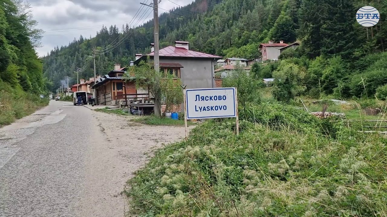 Кучето ме спаси, каза за БТА нападнатият от мечка Димитър Кибарев от село Лясково