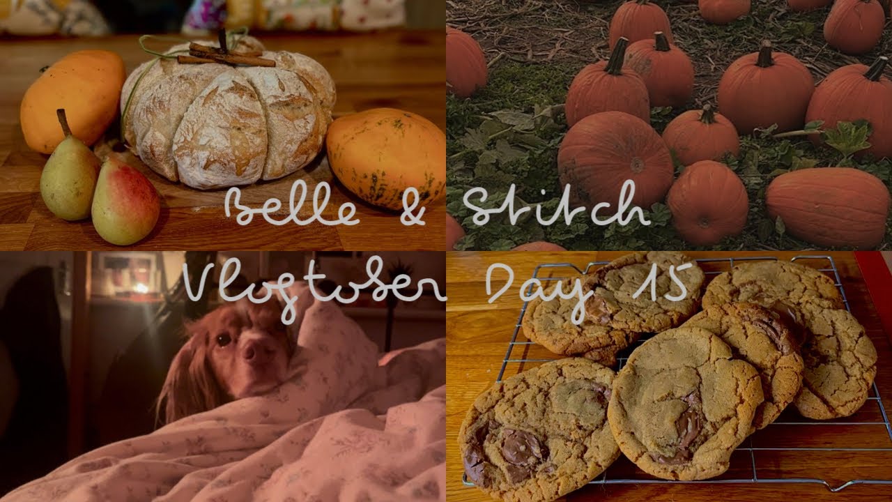 Belle & Stitch - Vlogtober Day 15 ♥︎