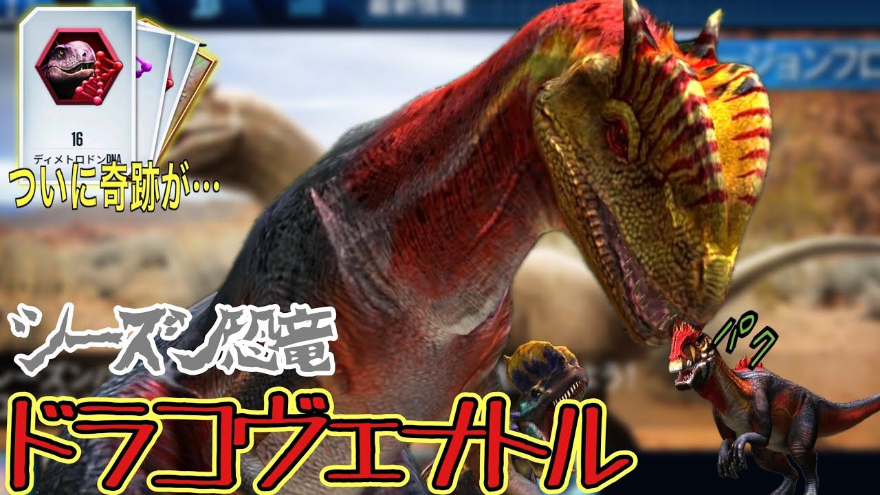 JW シーズン恐竜『ドラコヴェナトル』解放！ついにさんぞいの元にも奇跡が！！　ジュラシックワールドザゲーム