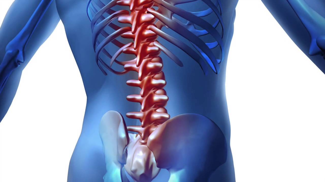 PIttsburgh Low Back Pain Relief - Scott Medical Center