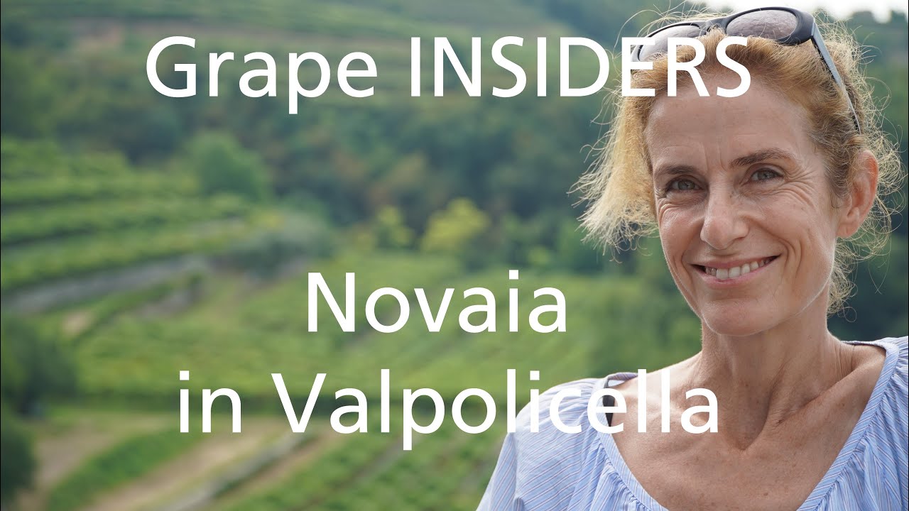 Grape INSIDERS: Novaia in Valpolicella, Wine Tour in Valpolicella Classica