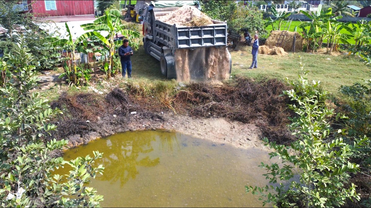 First Start Amazing PROJECT!! Filling Land Delete Deep Fish Pond Use Strong Dozer & 5Ton Truck.