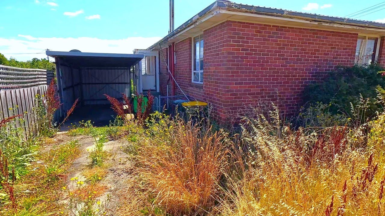 She called me MIRACLE worker after finishing this Crazy RESCUE!!!