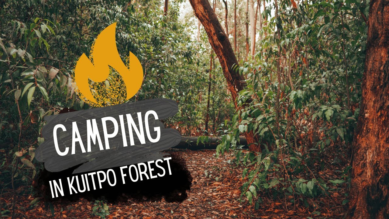 Kuitpo Forest | Camping | 2022 | Travel Vlog