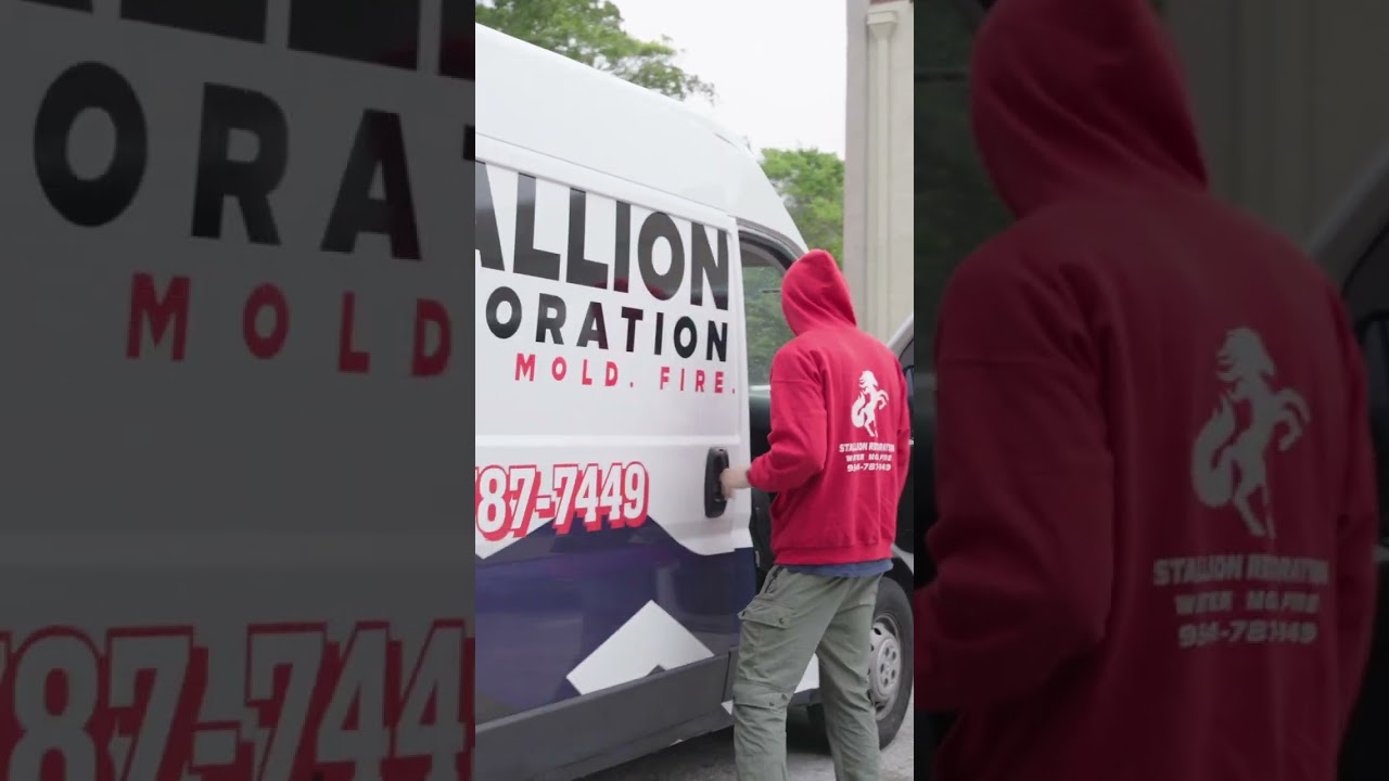 The Stallion Restoration Van—Bringing Expert Restoration to You!