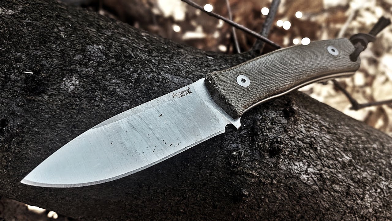 LIONSTEEL - M4 - UN'ALTRA BELLA SORPRESA