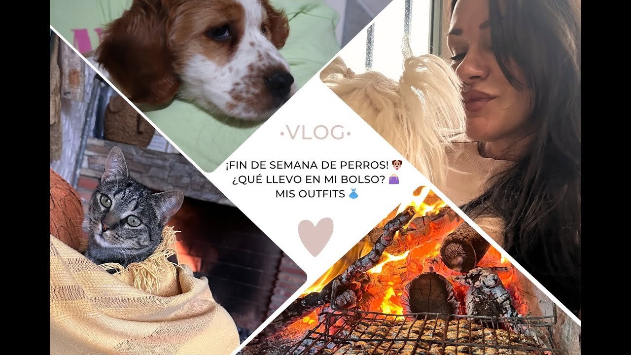 Vlog: &iexcl;Fin de Semana de Perros! 🐶 | &iquest;Qu&eacute; Llevo en Mi Bolso? 👜 + Organizaci&oacute;n de Outfits 👗