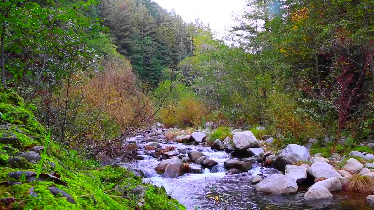 Relaxing Nature Sounds - 25 min. Calming Sounds of Water